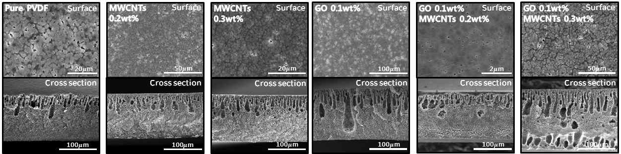 GO/CNTs 함량비에 따른 PVDF 멤브레인의 FE-SEM 이미지