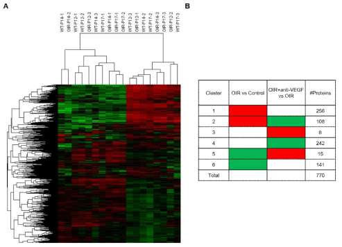 RNA 염기서열분석(A) 및 단백체 분석(B) clustering 결과