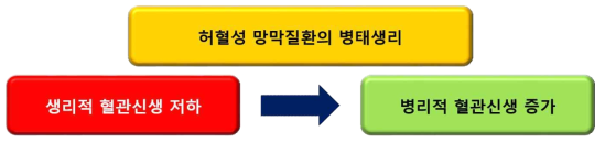 허혈성 망막질환의 병태생리. 생리적 혈관신생 저하가 병리적 혈관신생 증가에 선행되어 나타남