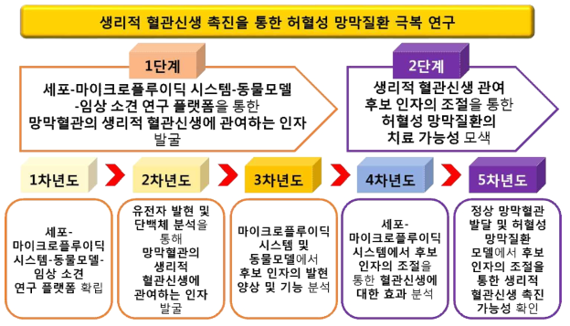 ‘생리적 혈관신생 촉진을 통한 허혈성 망막질환 극복 연구’ 추진체계