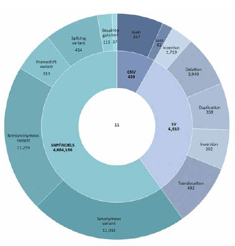 Variant 및 Structural variant(Sample ID : 11)