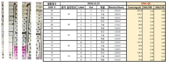 파라핀 조직에서의 DNA 추출 및 정성검사