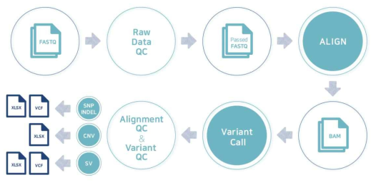 Analysis Workflow