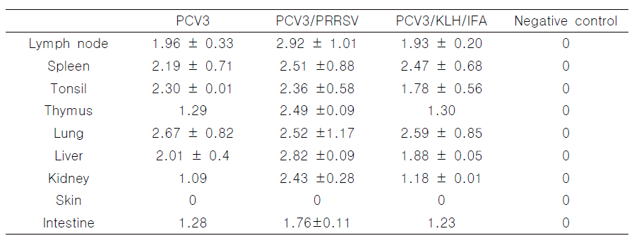 감염 후 21일 돼지들의 부검조직에서 PCV3 DNA 복제 수(genomic copies) (평균 ± 표준편차)