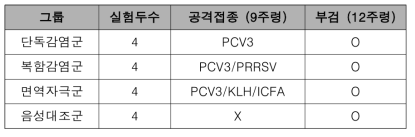 돼지 써코바이러스 3형 감염 실험디자인