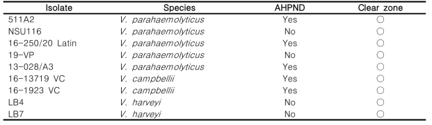 Vibrio strains에 대한 박테리오파지(pVc-1) 숙주역 확인(대표 균주만 나열)