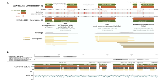 Iso-seq 데이터를 이용한 개선된 남색홍조류 유전자 동정 과정 및 보고된 유전자 좌위와의 비교 결과