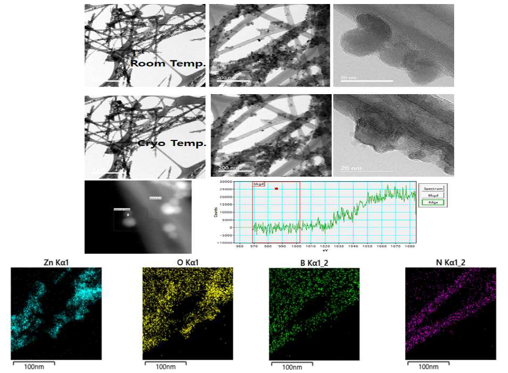 Ex situ boron nitride nanotube 및 ZnO nanoparticle 복합소재 TEM 분석 결과