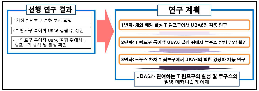 연구 개발 개요