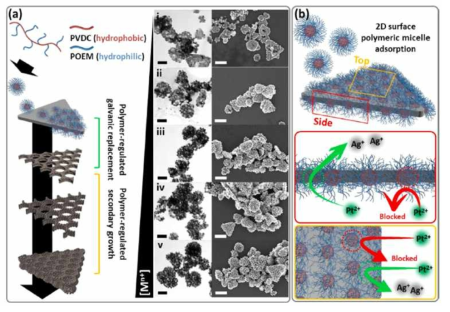 고분자 마이셀을 통한 주형 나노입자의 갈바닉 치환 반응 제어 연구결과