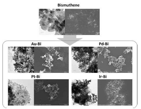 Bismuthene 주형 나노시트와 Au, Pd, Pt, Ir 복합 다공성 구조