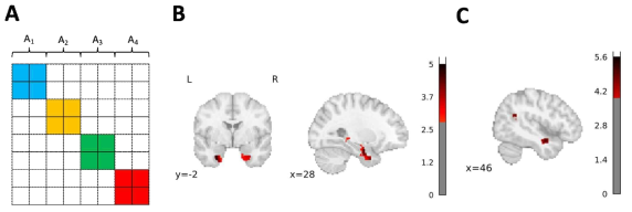 A) 패턴완성 모형. 색이 있는 부분과 희색인 부분을 비교하였다. B) 해마와 내후각피질에서의 결과. C) Angular Gyrus와 전측 Temporal Cortex에서의 결과
