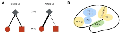 A) 통제처리와 자동처리로 이루어진 이중처리모형과 간섭통제의 도식. B) 이번 연구에서 핵심적으로 다루고자 하는 뇌 영역. 파란색은 인지통제의 주요 뇌 영역, 노란색은 Default Mode Network, 그리고, 녹색으로 표시된 HPC는 해마구조