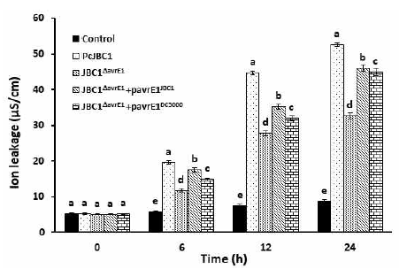avrE1유전자 결손(JBC1ΔavrE1)이 P. cichorii JBC1균주의 식물체 잎에서의 이온누출에 미치는 영향