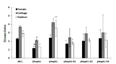 hopA1 유전자의 도메인별 결손 균주의 토마토, 배추 및 콩 식물체에서의 병원성에 대한 영향