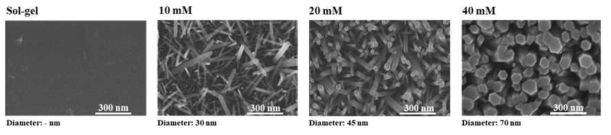 전구체의 농도에 따른 ZnO NR의 SEM image