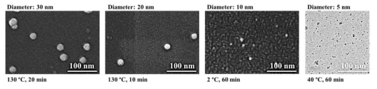 크기에 따른 Au NP의 SEM과 TEM image