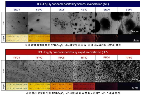 자성 나노입자의 함량비 및 제조방법에 따라 달라지는 분산성