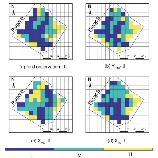 하계 진우도 식생대 분포와 인공지능 학습결과 비교 ((a) field observation-Ⅱ, (b) YUAV-Ⅱ, (c) Xraw-Ⅱ and (d) Xrev-Ⅱ)