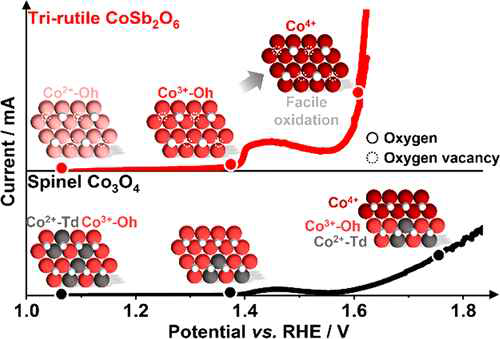 산소 발생에 최적화된 CoSb2O6 촉매 개발 [대표적연구실적 #3]