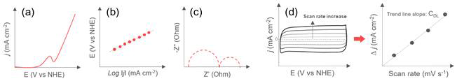 (a) LSV, (b) Tafel slope, (c) Nyquist plot (EIS 분석법), (d) scan rate 별 CV를 통한 ECSA 계산 등 산화전극의 전기화학적 특성 분석 예시