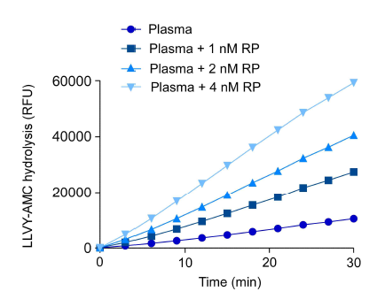 정제된 19S/RP가 순환 프로제아좀에 어셈블리됨을 확인함. 293-RPN11-HTBH를 이용하여 19S/RP를 정제한 후 마우스 혈장과 섞어줌. 19S/RP의 농도가 높아짐에 따라 LLVY-AMC의 가수분해가 높아짐을 관찰하여 20S 순환프로아좀의 구조를 확인하였음