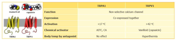 TRPA1과 TRPV1