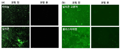 (a) poly(carboxybetaine)으로 코팅한 티타늄, 실리콘 기판의 항균성 평가 결과, (b) poly(sulfobetaine)으로 코팅한 실리콘 고분자 및 폴리스타이렌 기판의 항균성 평가 결과