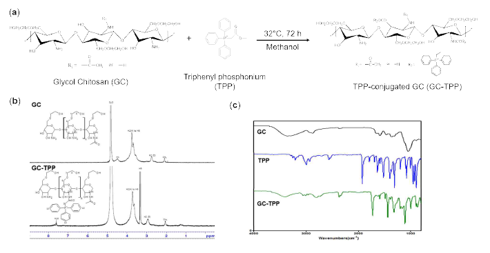 (a) 트리페닐 포스포니움이 도입된 글라이콜 키토산 합성과정, (b, c) 합성한 유도체의 1H NMR 및 FT-IR 분석결과