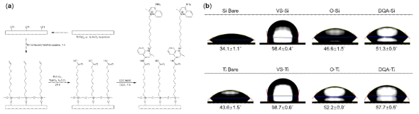 (a) DQA로 표면 개질하기 위한 반응 과정, (b) 실리콘(Si)과 티타늄(Ti) 기판에서의 각 단계별 물 접촉각 분석 결과