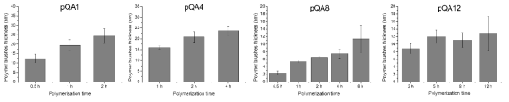 다양한 4차 암모늄 고분자(pQAn)의 중합 시간에 따른 박막 두께 결과
