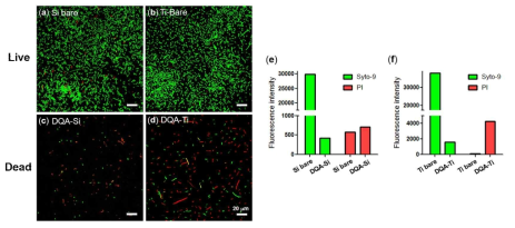 DQA로 개질한 실리콘 및 티타늄 기판의 박테리아 성장억제/사멸효과 평가. (a-d) live/dead 염색 후 관찰한 형광현미경 사진. (e, f) DQA로 개질된 샘플과 대조군 기판에서의 형광 세기 비교