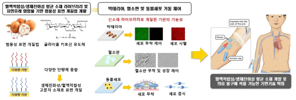 본 연구과제의 개요