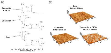 (a) X-선 광전자 분광분석결과, (b) 원자 힘 현미경으로 표면형상을 분석한 결과