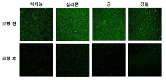 파이로갈롤기가 도입된 글라이콜 키토산 유도체로 코팅한 여러 기판들의 항균성 실험결과