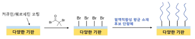 고분자 기반, 혈액적합성을 갖춘 항균 코팅 개발을 위한 범용성 표면 개질법 개략도