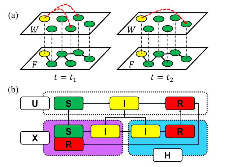 (a) DLMN의 개략도. 시간 t1 에서의 상호작용과 t2 에서의 상호작용이 W층에서는 매시간 바뀔 수 있으며, F층에서는 항상 고정된 상호작용구조를 가진다. (b) 각 노드의 상태 변화 개략도. 하얀색 박스는 격리에 대한 상태를 나타내며 빨강, 노랑, 초록색 박스는 감염 상태를 나타낸다