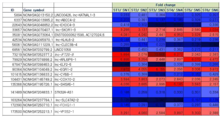 위암 병변부위에서 공통적으로 증가 혹은 감소된 발현차를 보이는 lncRNAs