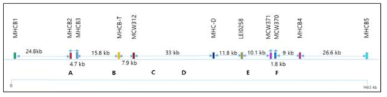 MHC-B 영역에서 선발한 SSR motif 마커 모식도 및 재조합 hot spot (GenBank ID: NC_006103.5)