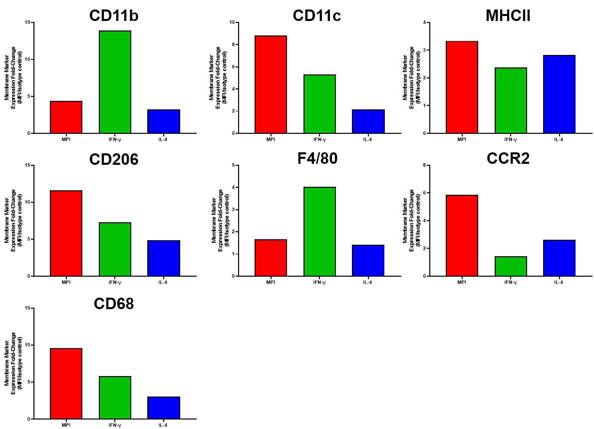 Changes in surface marker expression after exposure of MPI cells (red) to IFN-γ (green) or IL-4 (blue). Cells were exposed to the cytokines for at least 7 days. Data were quantified by FACS and are expressed as fold-change of marker expression as compared to the isotype control