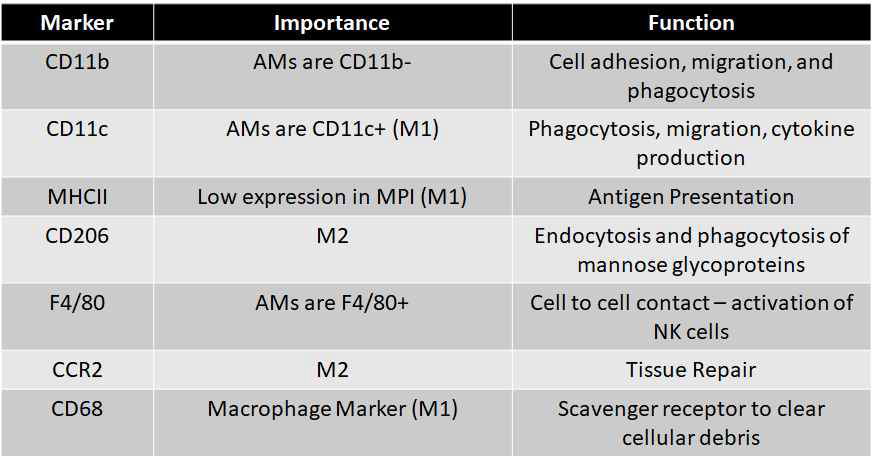 Cellular markers of importance for macrophages that were selected for this study. AM: alveolar macrophage