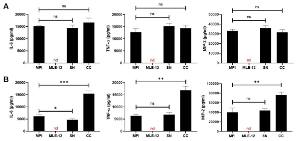 Direct contact culture of MPI and MLE-12 cells increases pro-inflammatory cytokine response to LPS. MPI cells were cultured alone or with either MLE-12 supernatant (conditioned media, SN) or with MLE-12 cells (direct co-culture, CC) for A. 3h or B. 24h prior to induction with LPS. MLE-12 cells alone were also added as a control. In all cases, cells were cultivated in the same culture medium (RPMI1640). Cells were washed and media was replaced prior to stimulation with 100 ng/mL LPS for 24h. Cell supernatants were collected and cytokine concentration was determined by ELISA. Data shown are average +/- SD for 3 biological replicates. Significance compared to MPI alone was determined using the unpaired t-test (*, p < 0.05; **, p < 0.01; ***, p < 0.001; ns: non-significant). Samples where no cytokine could be detected by ELISA are labelled with nd