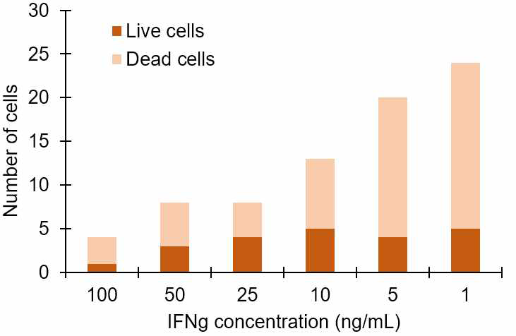 Determination of the optimal dose of IFNγ. MPI cells were exposed to decreasing concentrations of IFNγ for 4 days, then the number of cells per well of a 6-well plates were manually counted. Dead cells were detected by staining with Trypan Blue