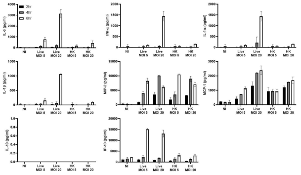 Cytokine expression profile of non-infected (NI) MPI cells and MPI cells exposed to live or heat-killed (HK) Mtb bacteria at various multiplicity of infection (MOI) and after different time points post-infection. Data are average +/- SD for technical triplicates. For IL-10, all values were below the detection limit (~80 pg/mL)