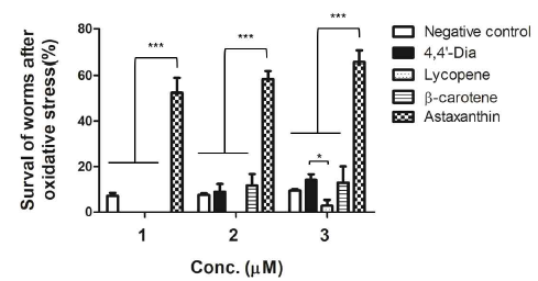 항산화 처리에 따른 C. elegans 생존율 비교