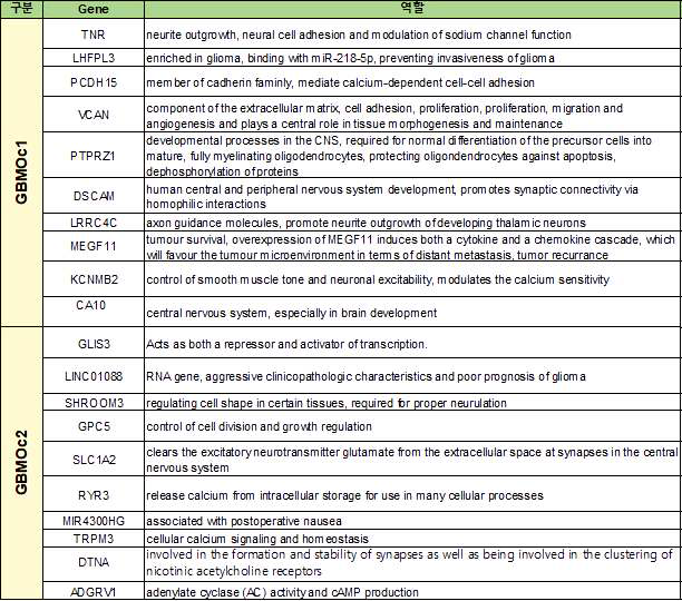 기원세포의 마커 유전자: GBMOc1/GBMOc2 의 마커 유전자 리스트