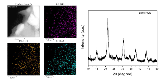 CsPbBr3 기반 페로브스카이트 TEM-EDS 맵핑 및 XPS 데이터