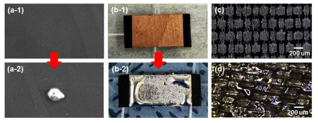 구리 증착 유무에 따른 폴리에스터 직물에서의 액체금속 코팅 특성 비교 (a) 구리가 증착되지 않은 폴리에스터 직물에서의 액체금속 코팅 (b) 구리가 증착된 폴리에스터 직물에서의 액체금속 코팅 (c) 액체금속이 코팅되지 않는 폴리에스터 직물 표면의 광학현미경 사진 (d) 액체금속이 코팅된 폴리에스터 직물 표면의 광학현미경 사진