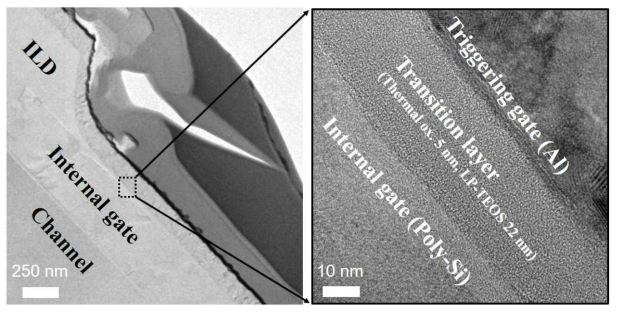 최적화 Γ-FET의 전이층에 대한 TEM 분석