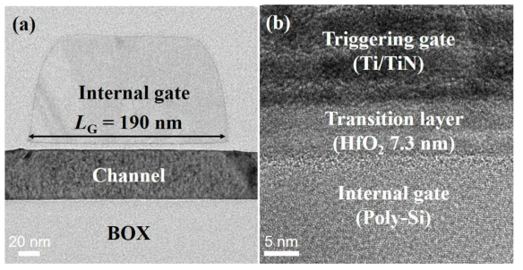 소형화 Γ-FET의 (a) 내부 MOSFET (internal MOSFET) 및 (b) 전이층에 대한 TEM 분석